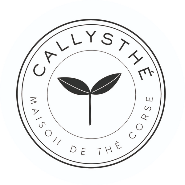 CALLYSTHÉ