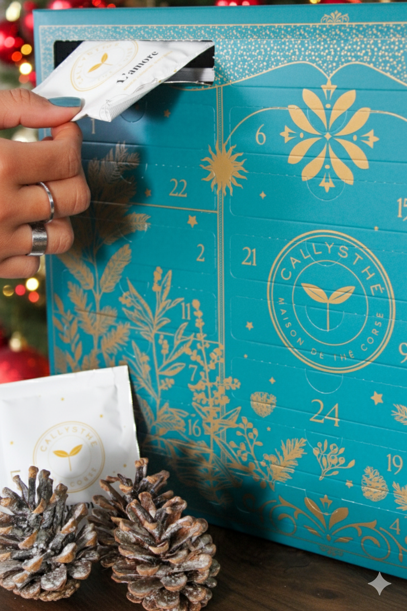 CALENDRIER DE L'AVENT