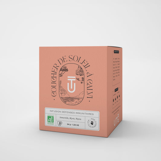 Boite UTE - coucher de soleil à Calvi